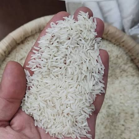چرا بعضی برنجها بعد از شالیکوبی خرد میشوند؟ 3 چرا بعضی برنجها بعد از شالیکوبی خرد میشوند؟