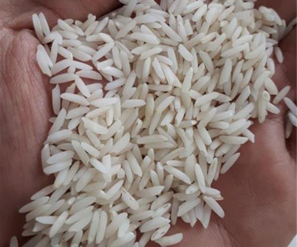 چرا رنگ برنجها با هم متفاوت است؟ 2 چرا رنگ برنجها با هم متفاوت است؟