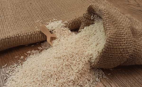 چگونه از آفتزدگی برنج جلوگیری کنیم؟ 2 cavish Rice 07 1 1