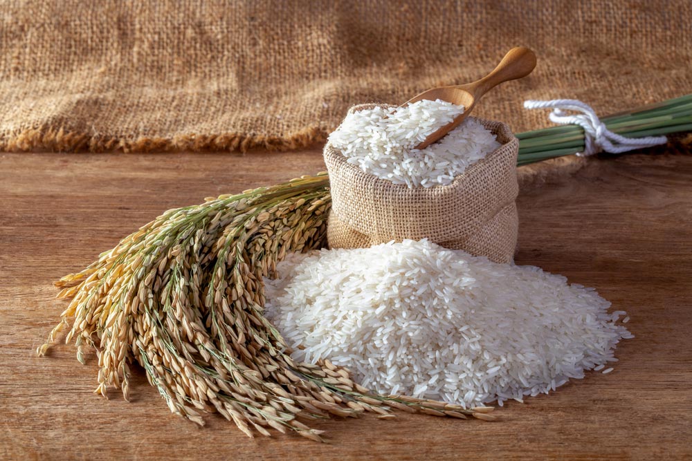 شالیکوبی مدرن و قدیمی چقدر تفاوت دارند؟ 2 شالیکوبی مدرن و قدیمی چقدر تفاوت دارند؟